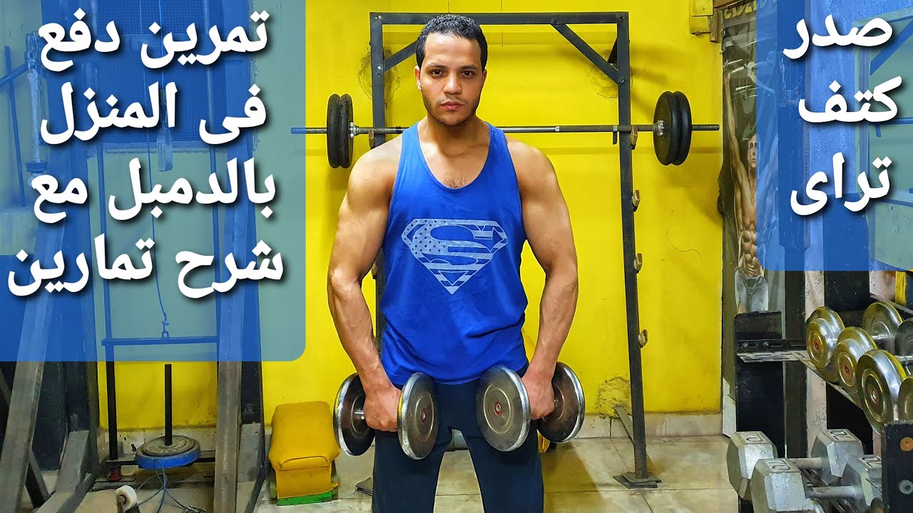 تمرين دفع فى المنزل بالدمبل فقط - اليوم الاول دفع ( Push )