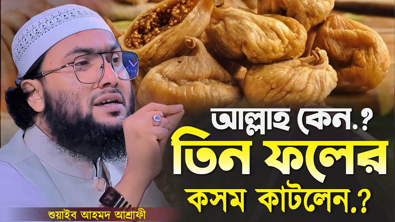 আল্লাহ কেন.? তিন ফলের কসম কাটলেন শুনলে আবাক হবেন┇শুয়াইব আহমদ আশ্রাফী┇Shuaib Ahmed Ashrafi┇New Waz