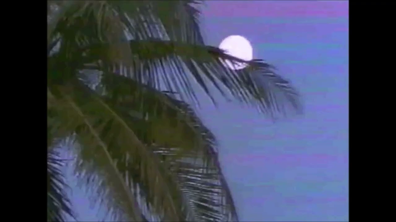 Long Afternoon - Hypnagogic Dreams