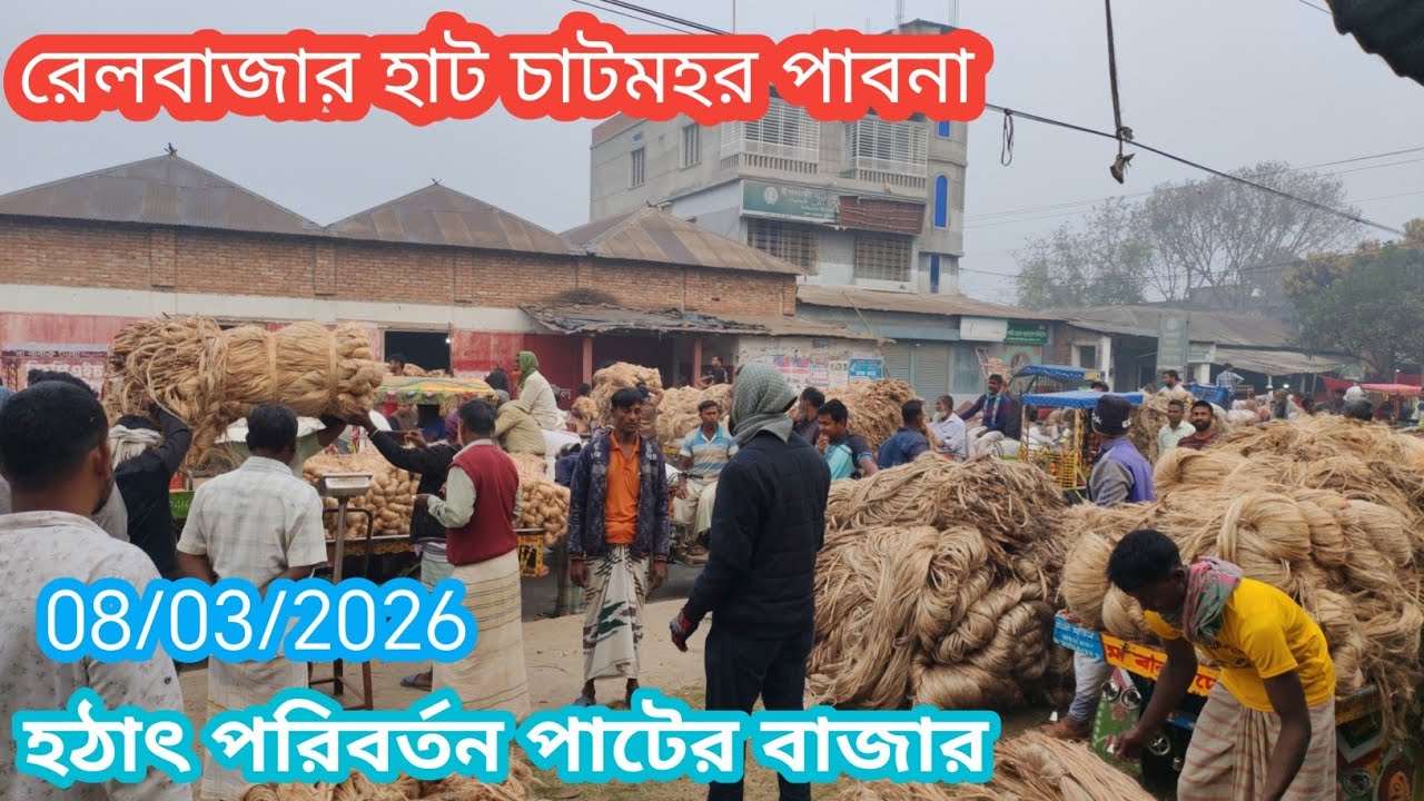8 March 2026 হঠাৎ পরিবর্তন আজকের পাটের বাজার দর। Jute market price rate in pabna Bangladesh 