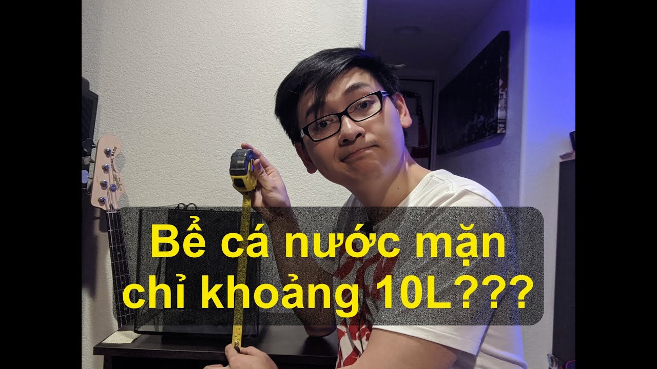 Làm thế nào để setup hồ cá nước mặn tí hon chỉ khoảng 10L?