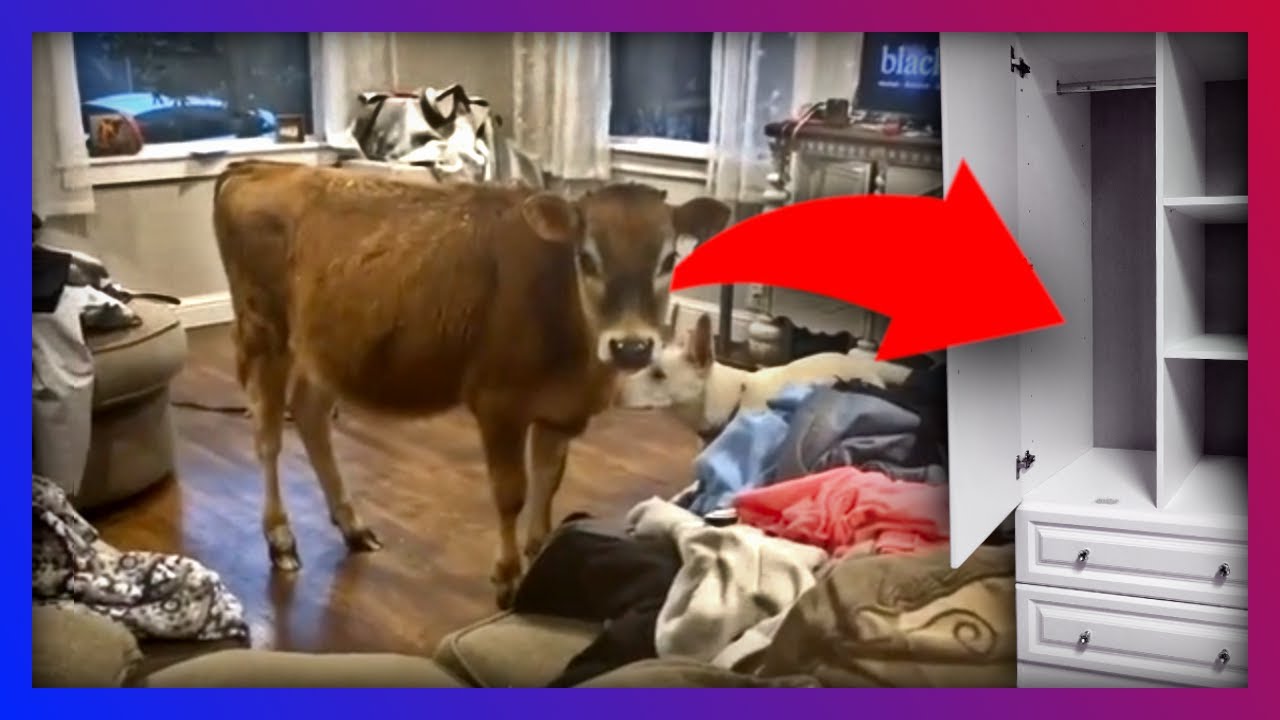 ÍGY RAKJ RENDET!