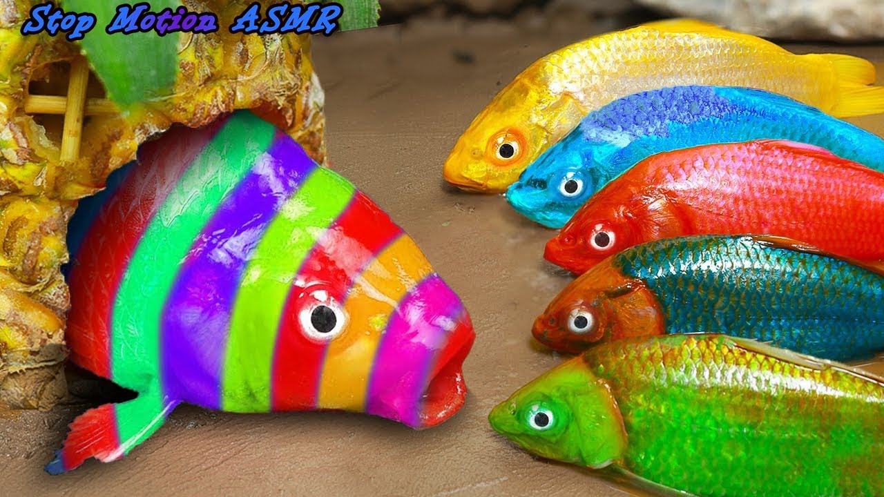 Koi Fish's Harsh Desert Life | Stop Motion ASMR | Cooking Experiment Primitive Fun