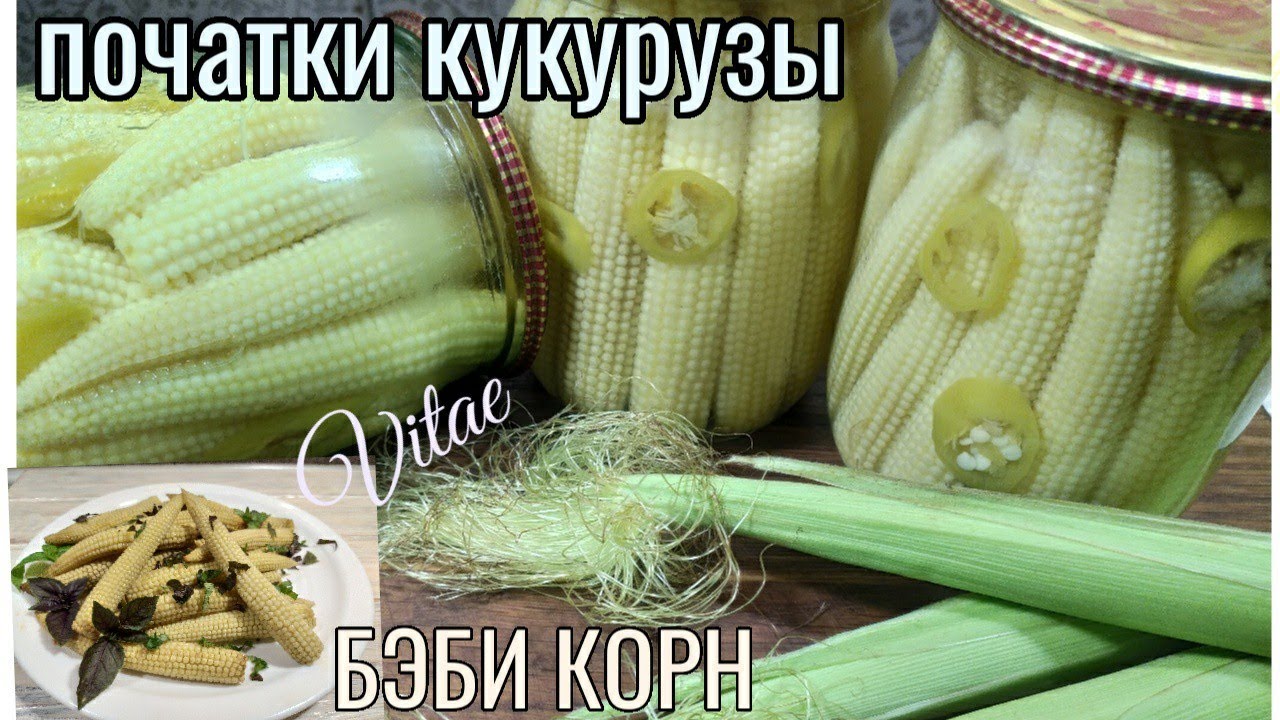 Консервированные початки кукурузы, БЭБИ КОРН,миникукуруза в духовке-простые рецепты.