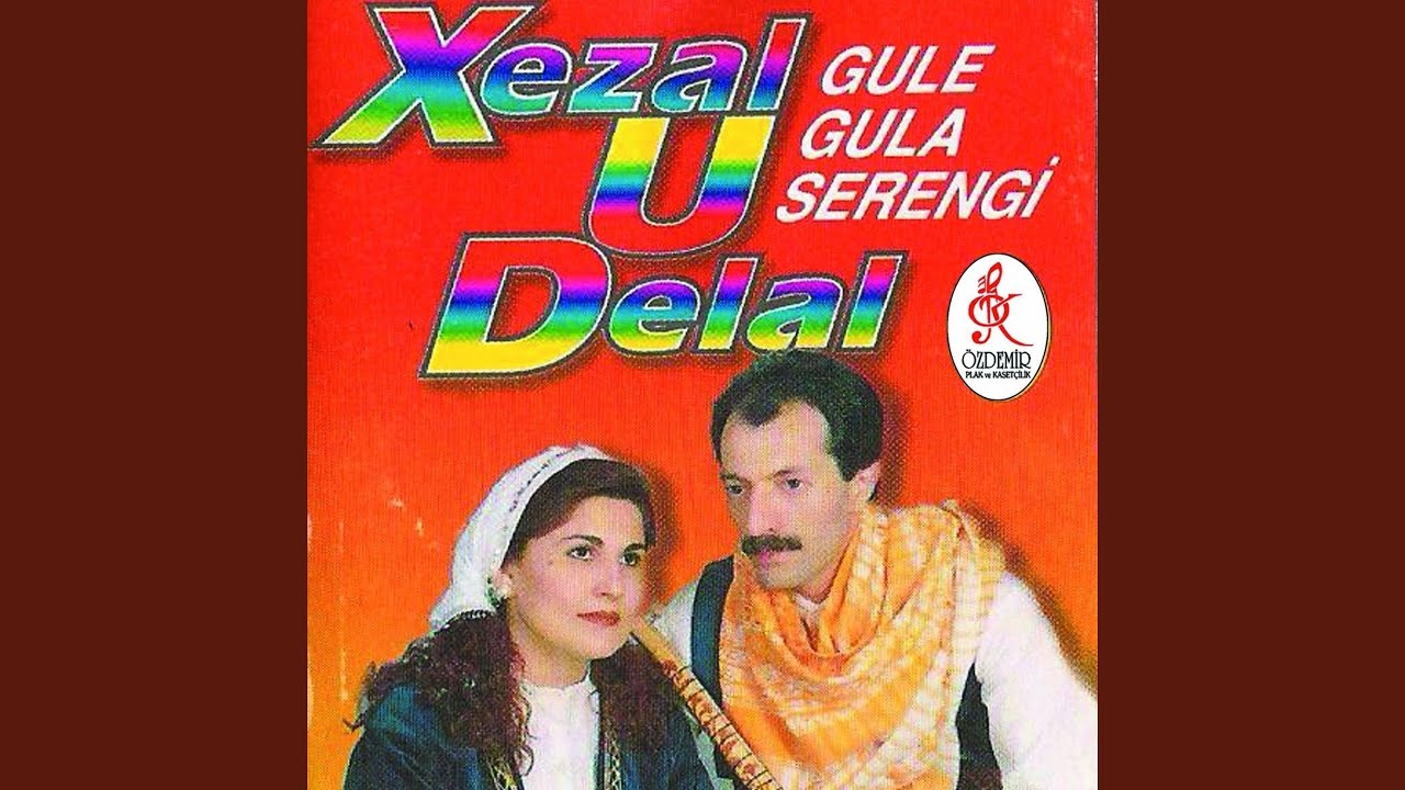 Gula Gula Serengi (Renkli G&uuml;l)