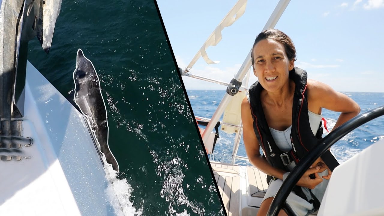 DOLPHINS Try and SAVE OUR YACHT | Tranquilo Sailing Around the World | Ep.108