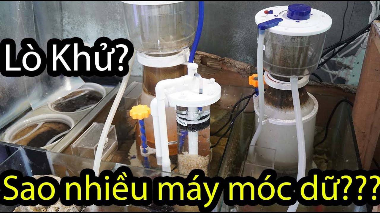 Week 4: Lò Khử Là Gì? Tại Sao Phải Dùng Lò Khử Trong Bể San hô Cá Biển? | 48 Weeks of Rina Reefing