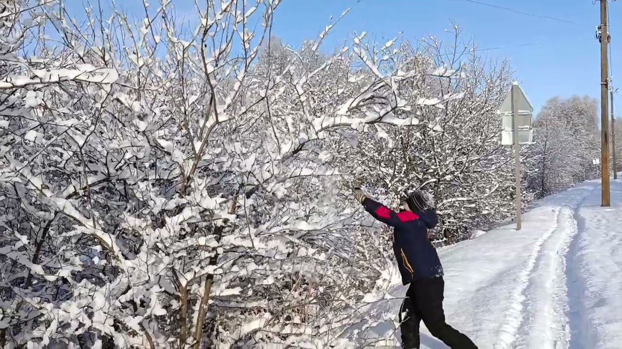 Зимова краса!#beautiful #winter 