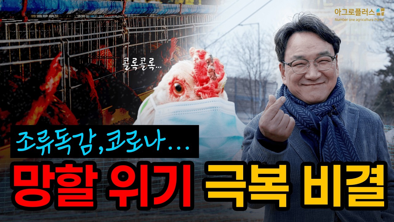 앗싸! ep1: 닭고기 가공·유통 30년....신선한 닭 고르는 방법은?