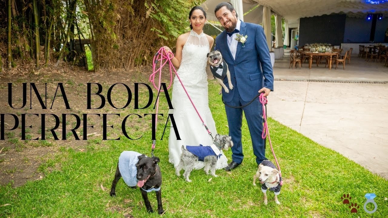 La boda de Grecia & Kevin en villa san Gaspar #bodas #noscasamos #videodeboda
