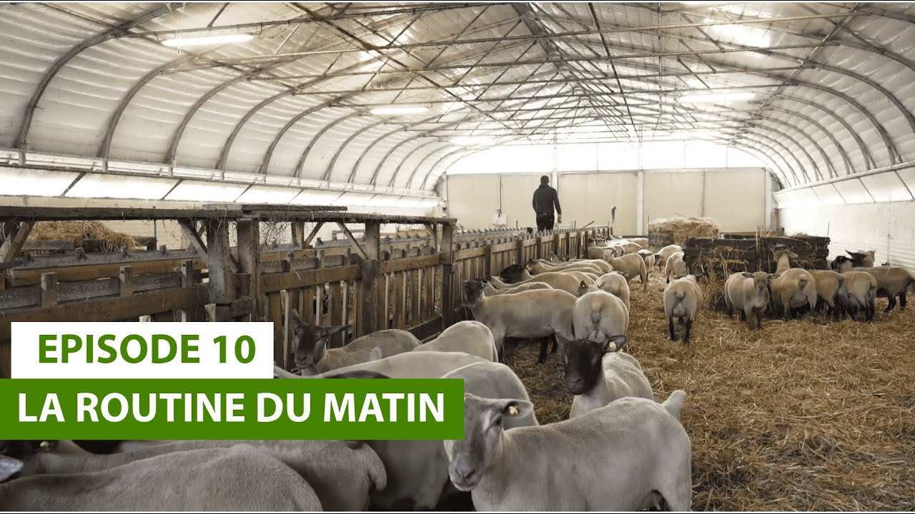 Julien, une histoire d'installation #10