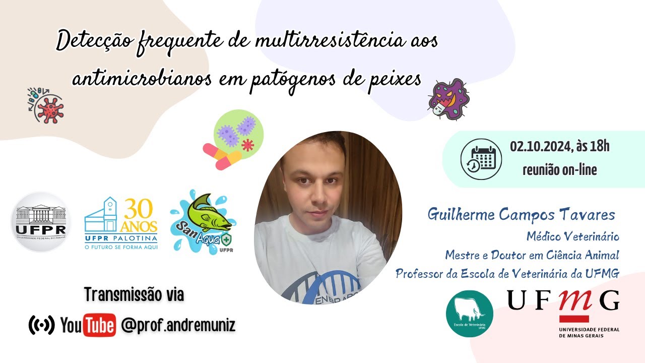 Detecção frequente de multirresistência aos antimicrobianos em patógenos de peixes