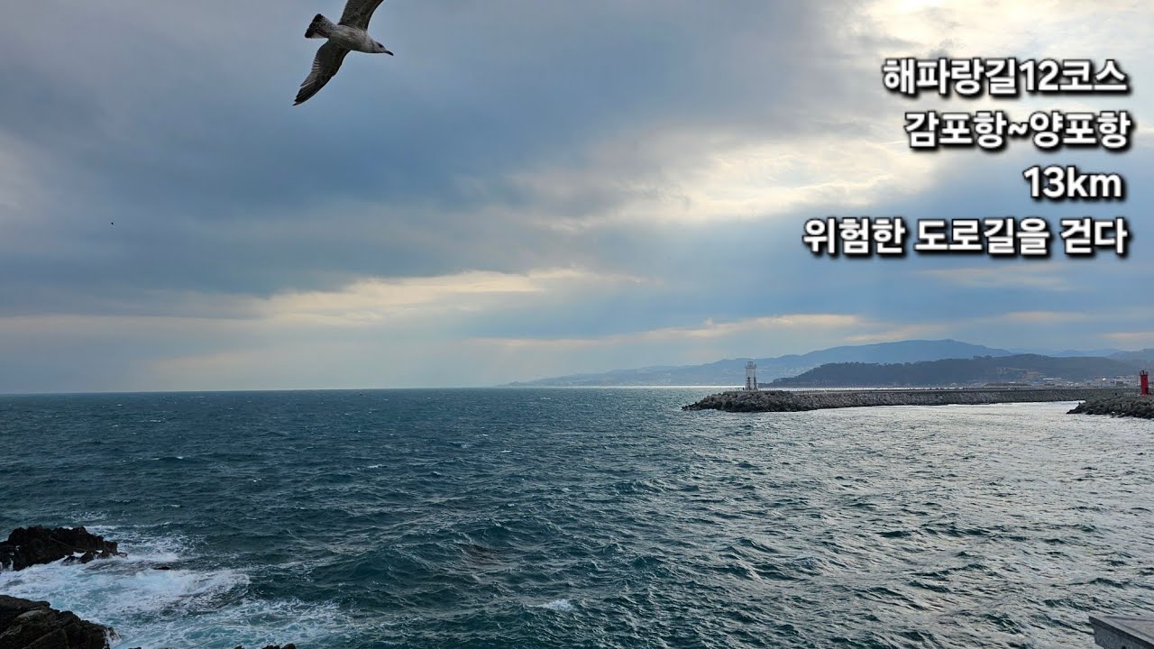 [해파랑길] 12코스 / 감포항~양포항 13km / 위험천만한 도로길