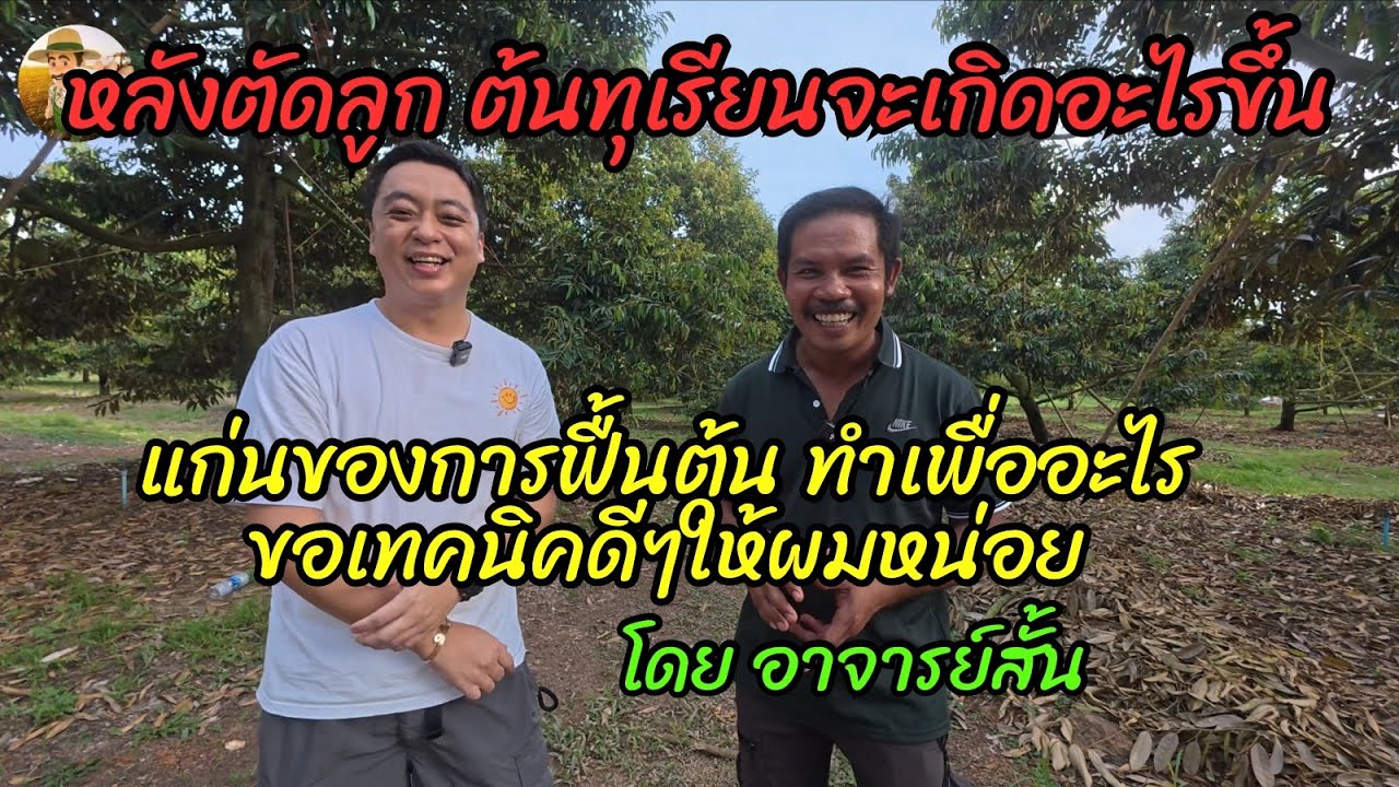 ตัดแต่งต้น ฟื้นต้น หลังเก็บผลผลิต ทำไปเพื่ออะไร หลักการและเทคนิคดีๆ ที่ทำให้ได้ไปต่อ | อาจารย์สั้น