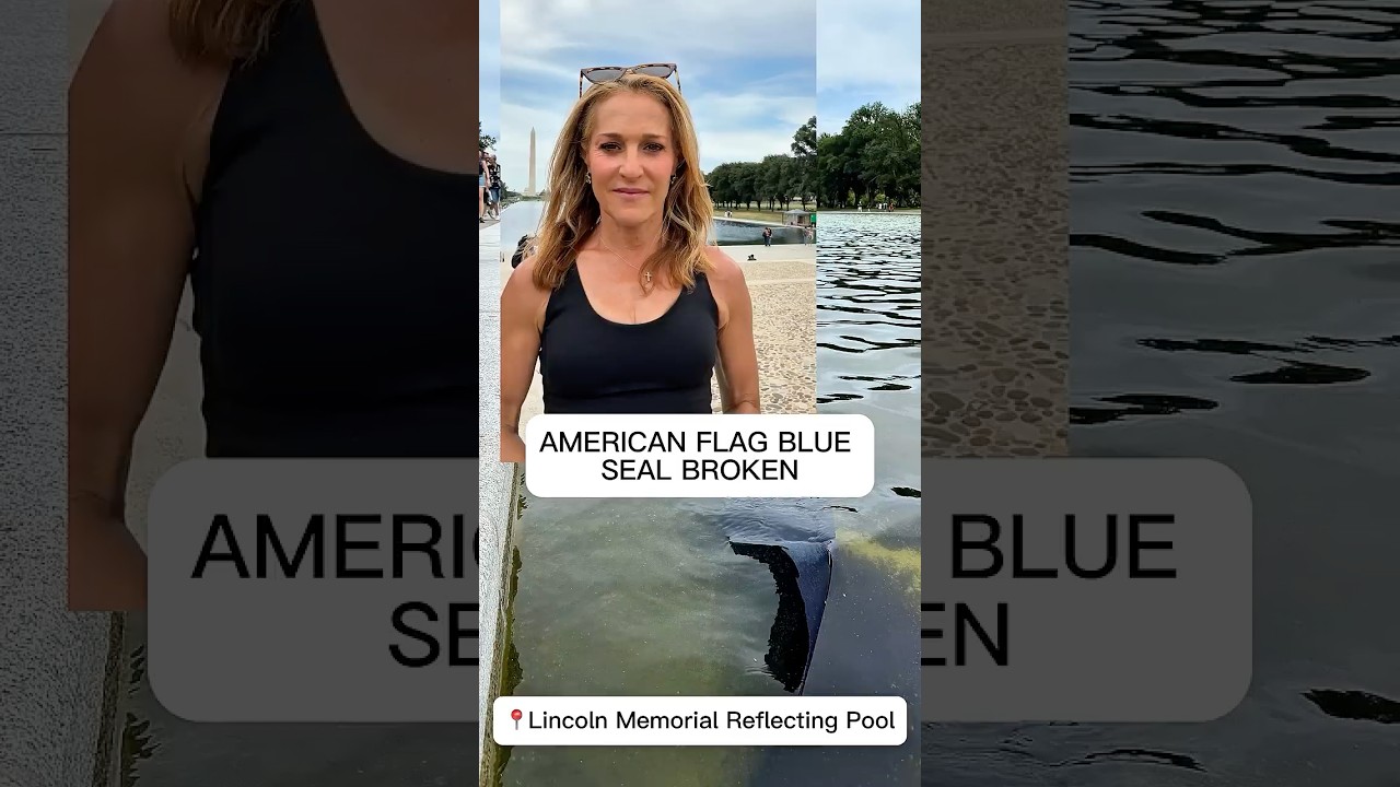 Blue sealant peeling off Lincoln Reflecting Pool