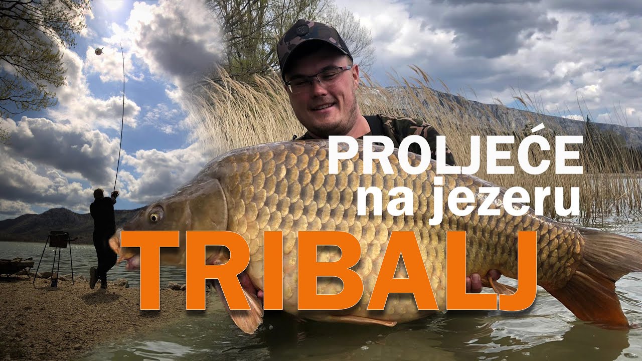 Proljetni ŠARANSKI RIBOLOV na TRIBLJU