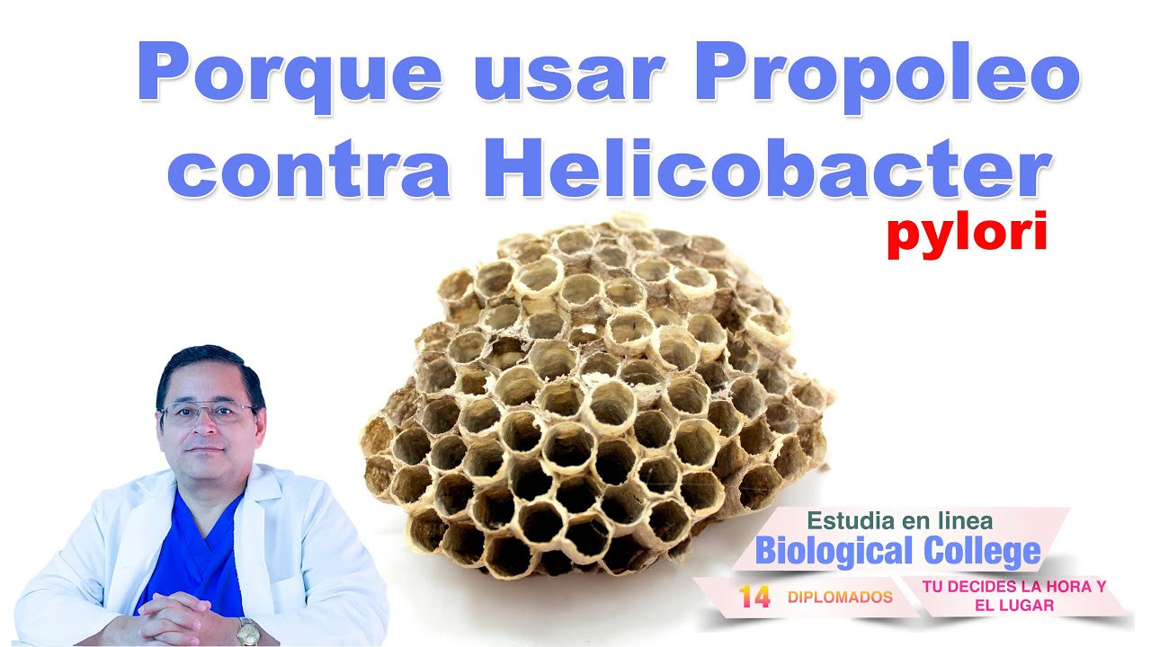 Porque usar El Propoleo contra Helicobacter pylori?