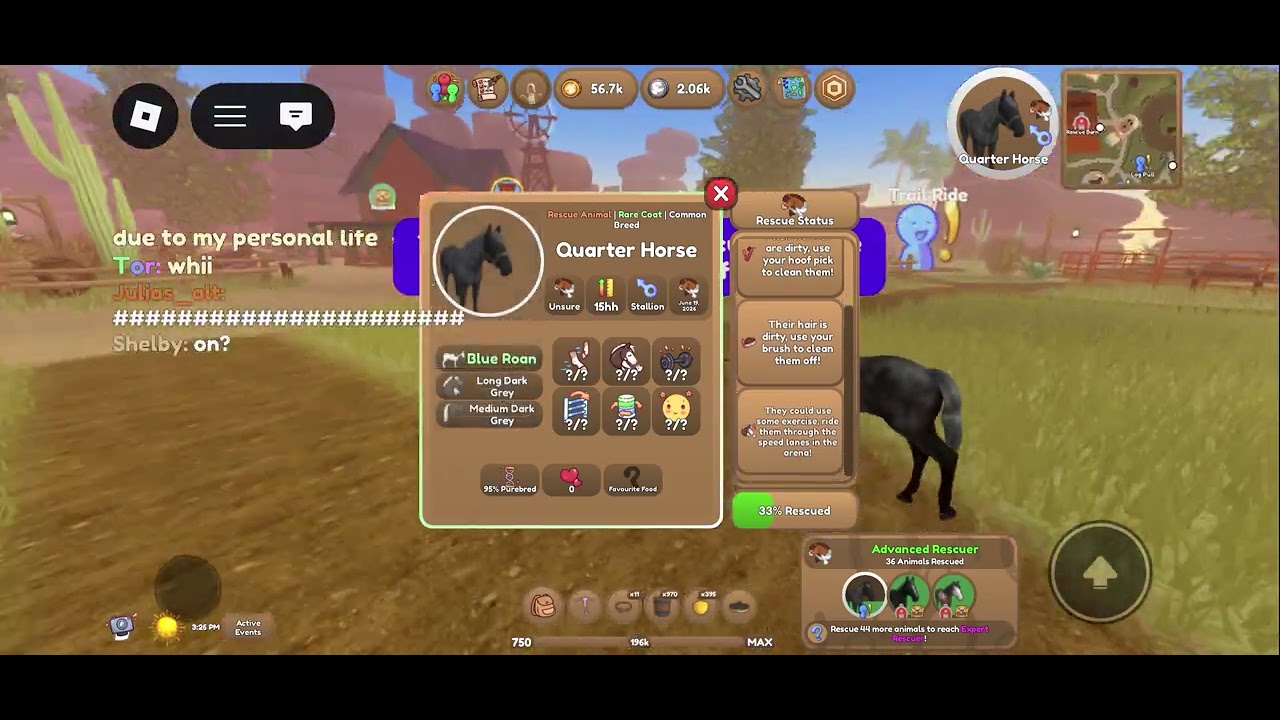 GIVEAWAY.       Wild horse islands horse rescue with me!