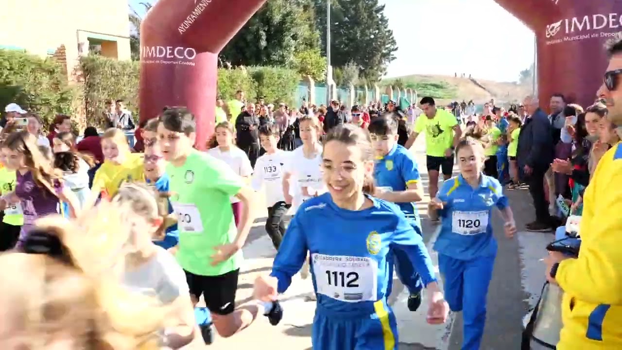 V Carrera solidaria Colegio Séneca Córdoba 2024
