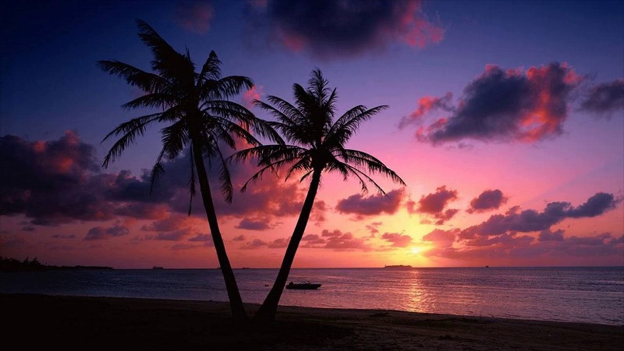 Beach Sunset Live Wallpaper ,Goa, India