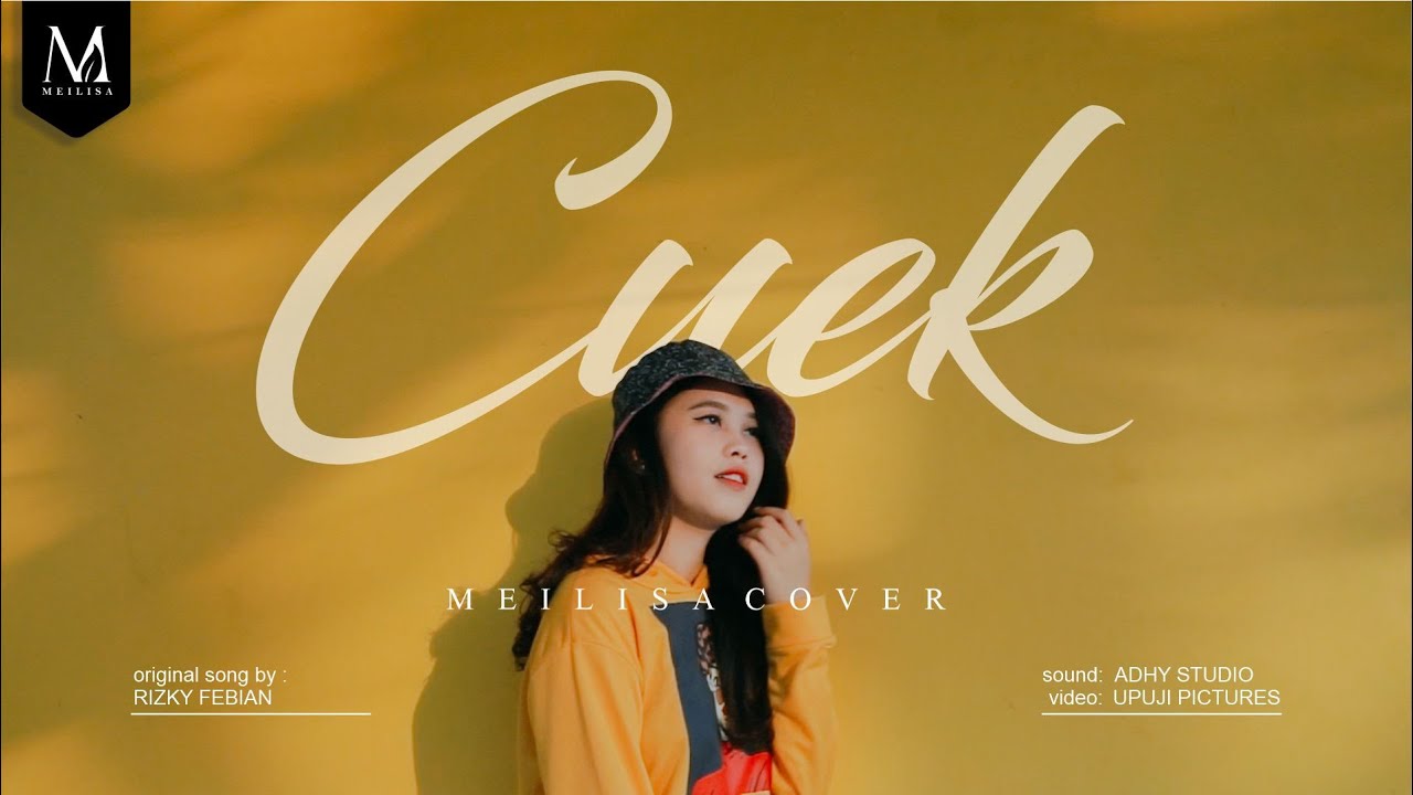 Meilisa Cover (Cuek #GarisCinta - Rizky Febian)