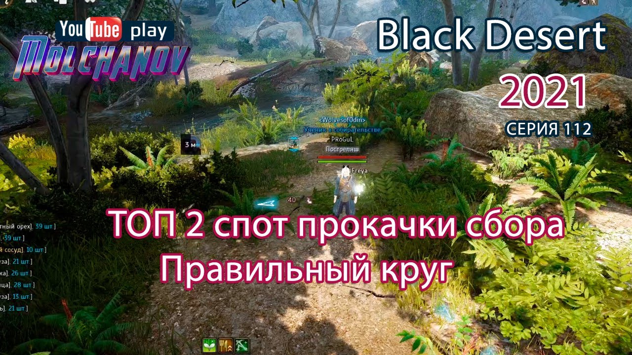 Сбор травы ТОП 2. Black Desert Фарм серебра 2021. Лучница.