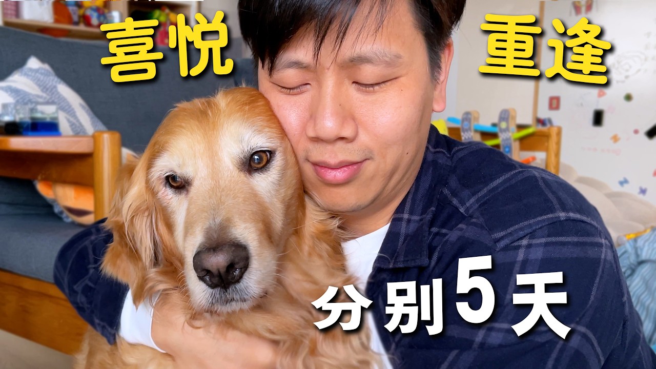 主人回老家过年终于归来，狗狗这个举动让人泪目！