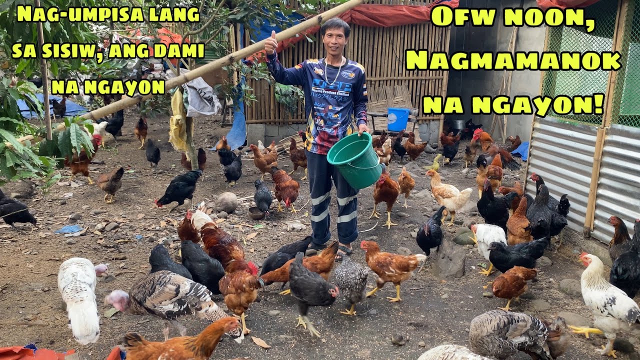 OFW NOON, MAGMAMANOK NA NGAYON | NAG-UMPISA LANG SA SISIW ANG DAMI NA NGAYON | GENSAN CITY