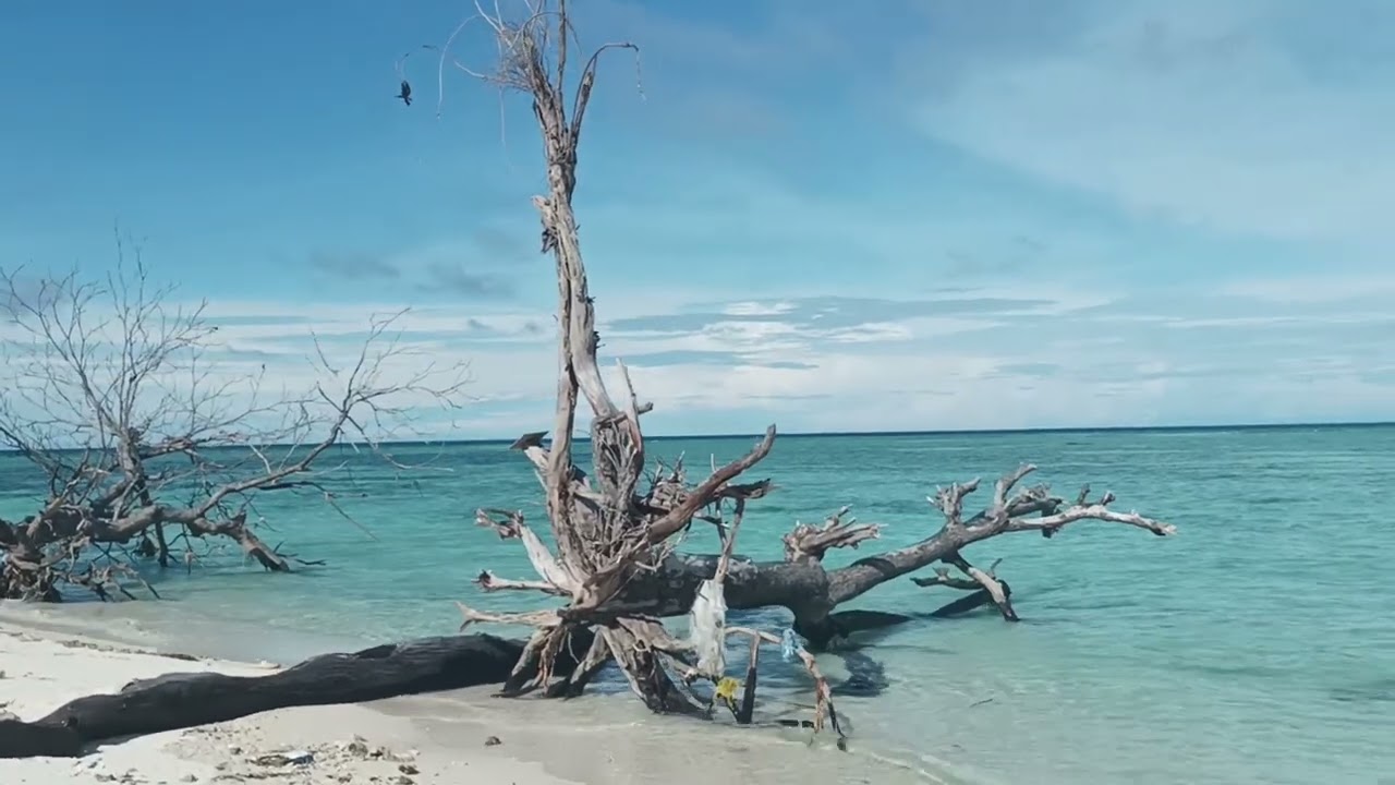 Camiguin Island Hopping - Mantigue Island Nature Park part 2, video #15 /Angel Snowbird