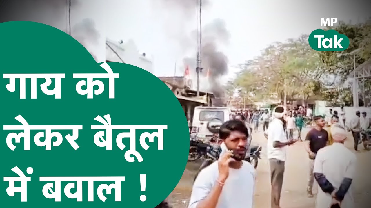 Viral Video: गाय को लेकर Betul में जबरदस्त हंगामा, कई दुकानें फूंकी ! | MP Tak
