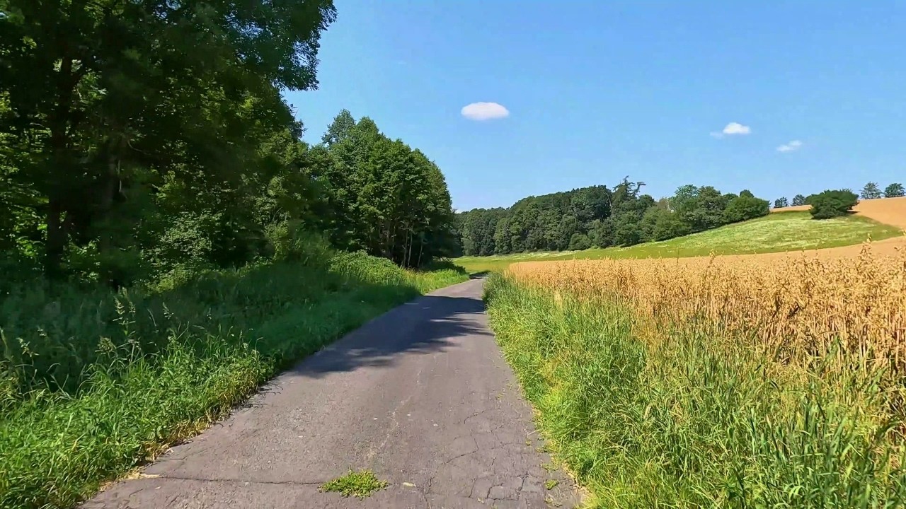 🦁👑 The Lion Trail 6/100: Újezd pod Troskami to Hrubá Skála • 4K HDR