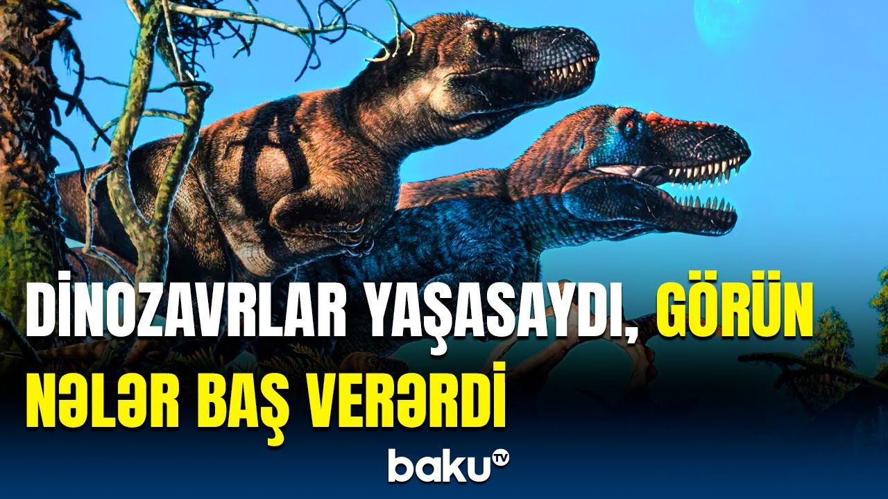 Asteroid yerə &ccedil;ırpılmasaydı... | Dinozavrlar barədə heyrətə gətirən araşdırma