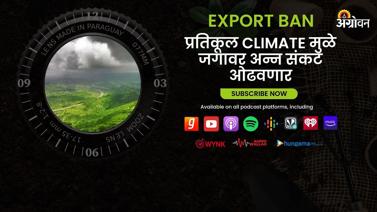 Agrowon ShetMarket Podcast | अनेक देशांच्या Export Ban मुळे Food Crisis बिकट होणार ? | ॲग्रोवन