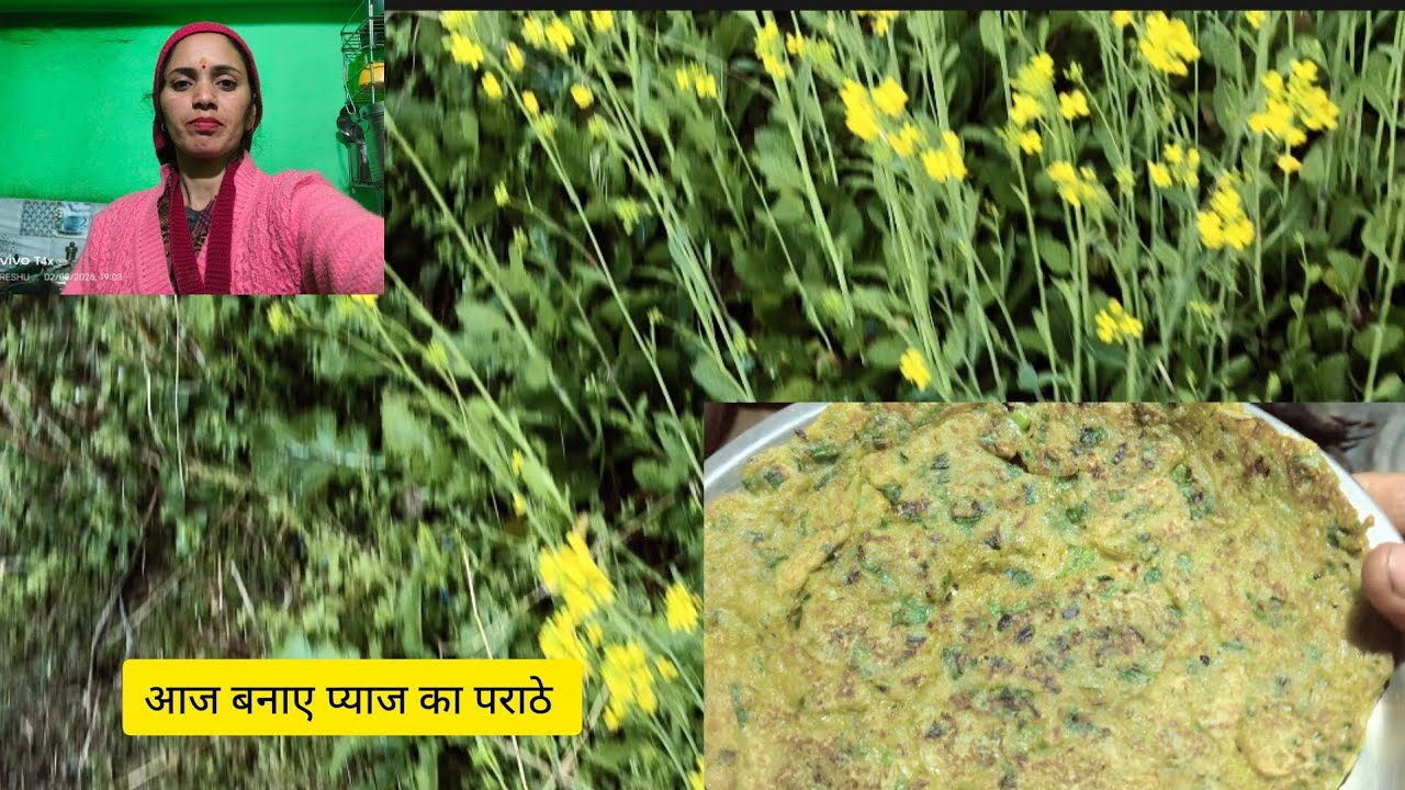 Reshmavlogs #pahadi #trending #viral #vlog#popular 