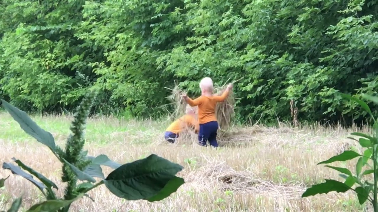 SashaMisha harvest 2022