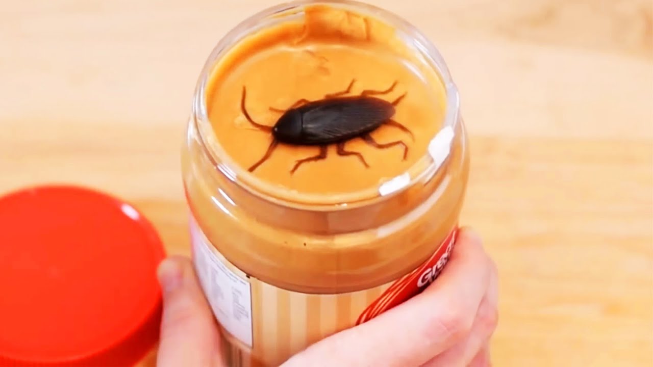 10 Foods That Are Being Produced With Bugs