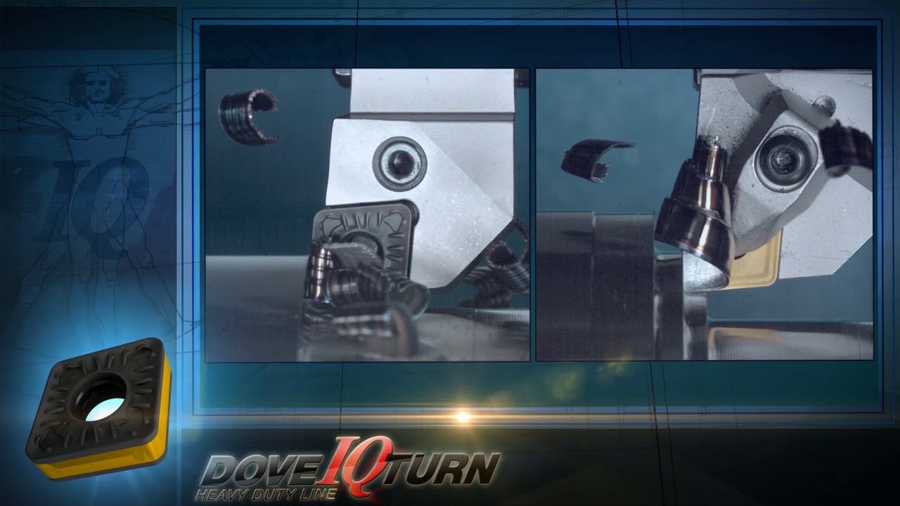 DOVE IQ TURN