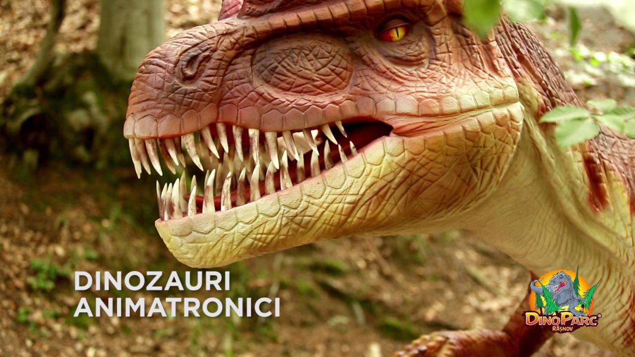 Dino Parc Rasnov - cel mai mare parc cu dinozauri din Sud Estul Europei