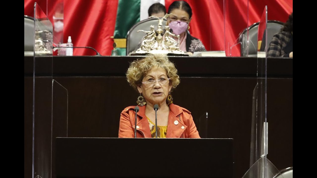 Dip. Dionicia V&aacute;zquez (PT) / Tipificar como delito el odio racial