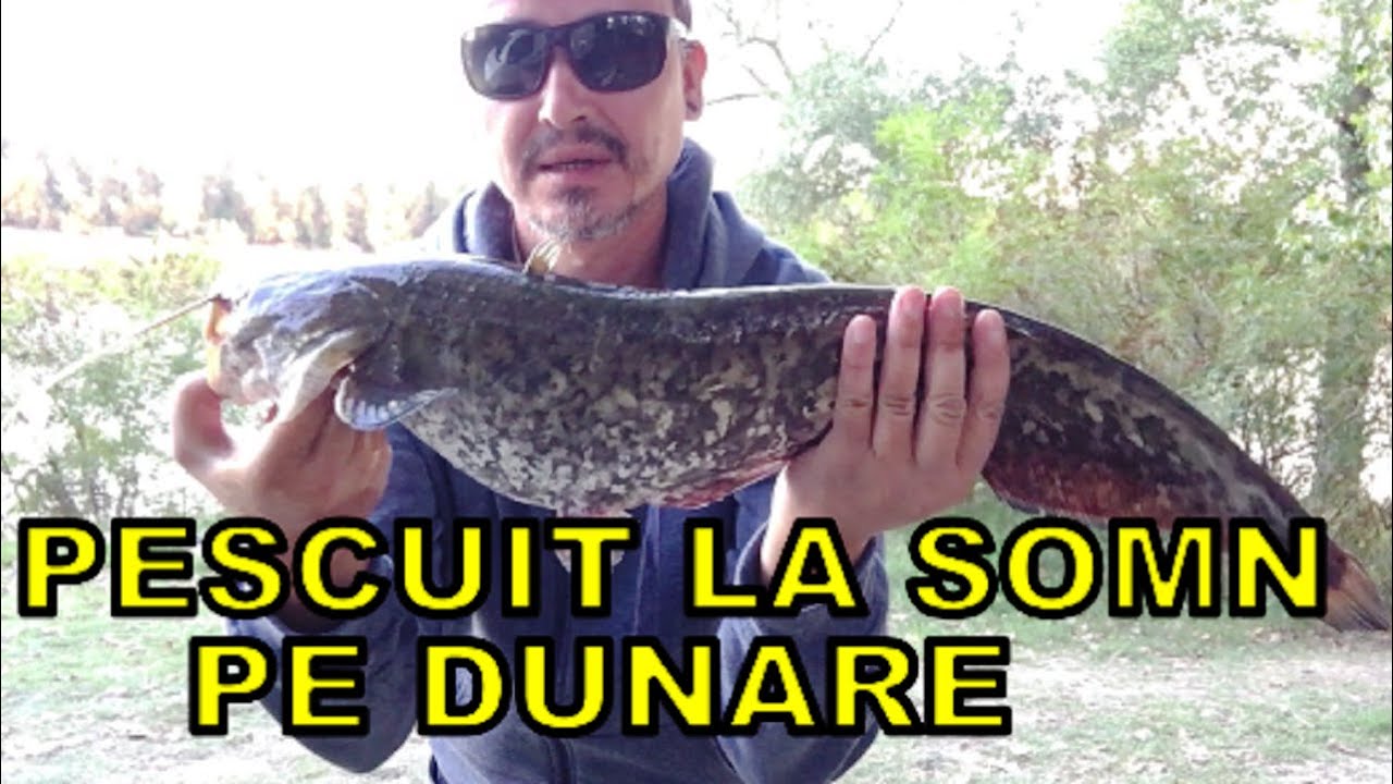 Pescuit la somn pe Dunare! Pescuit stationar la somn!