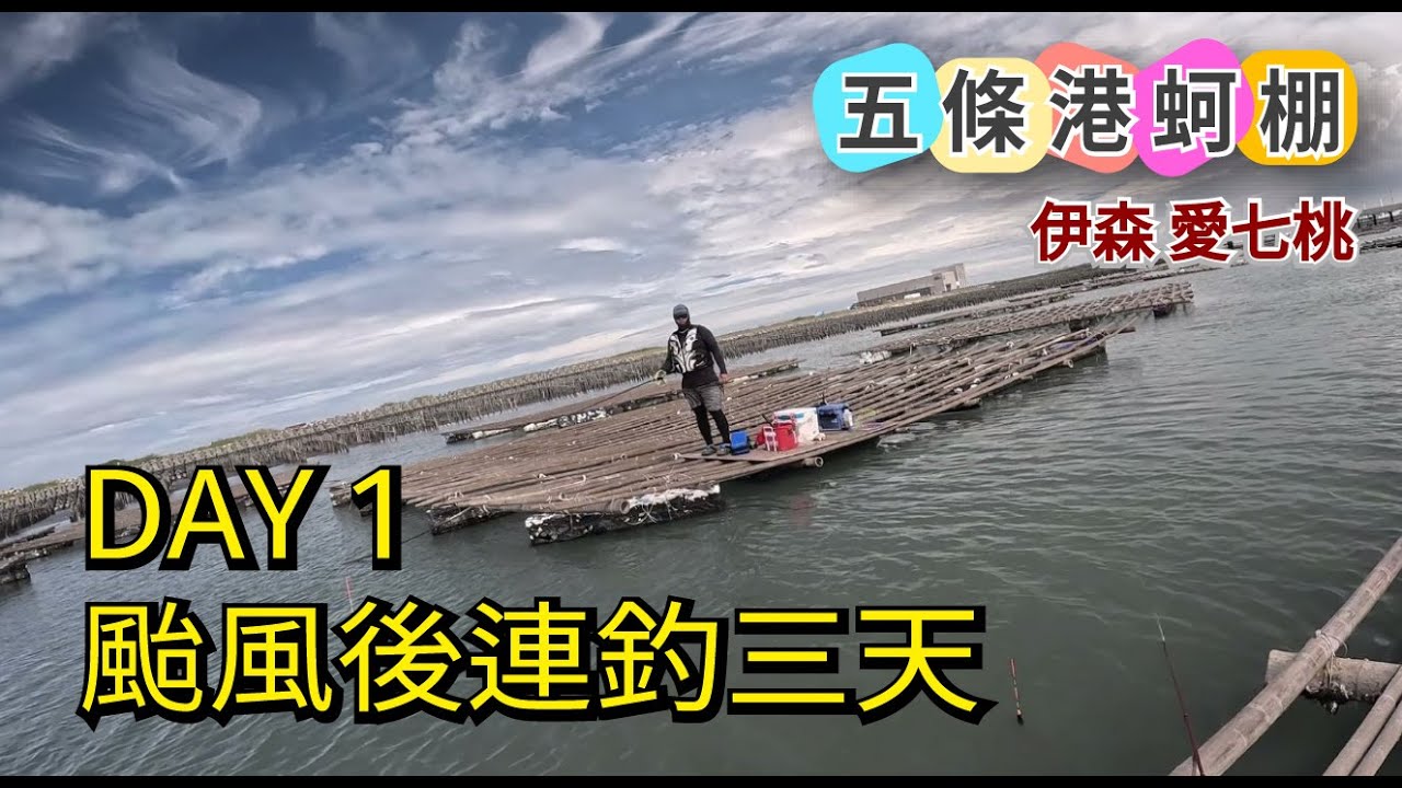 颱風大雨後，看看會不會大咬之連釣 1-3！五條港