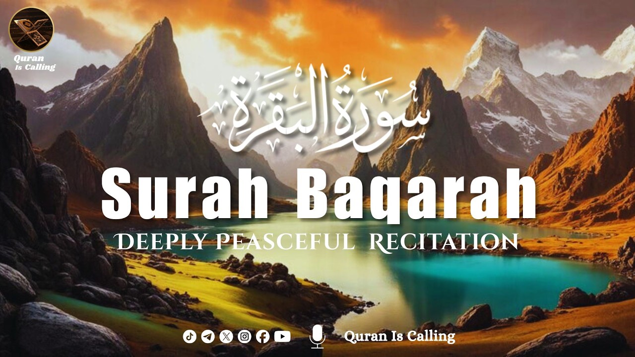 Surah Baqarah (Al-Baqarah) سورة البقرة | Deep Sleep Healing Heart Touching Quran Recitation