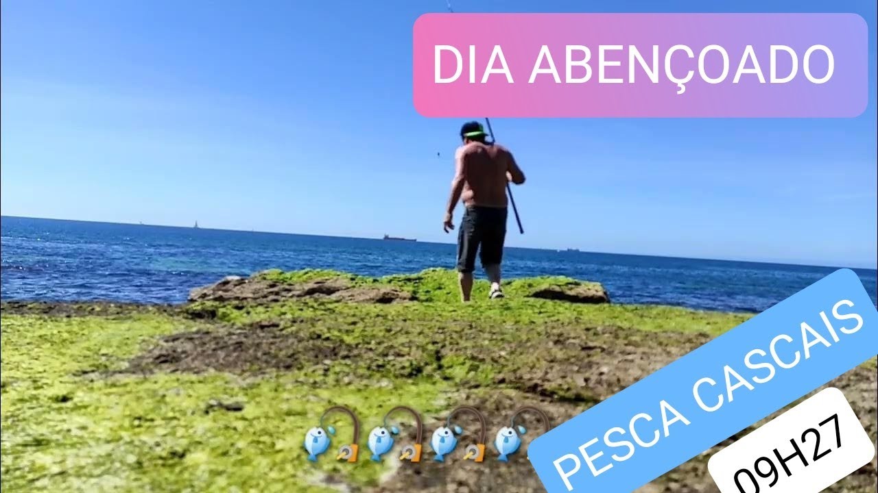 PESCA CASCAIS 🎣🎣  EP 08/23