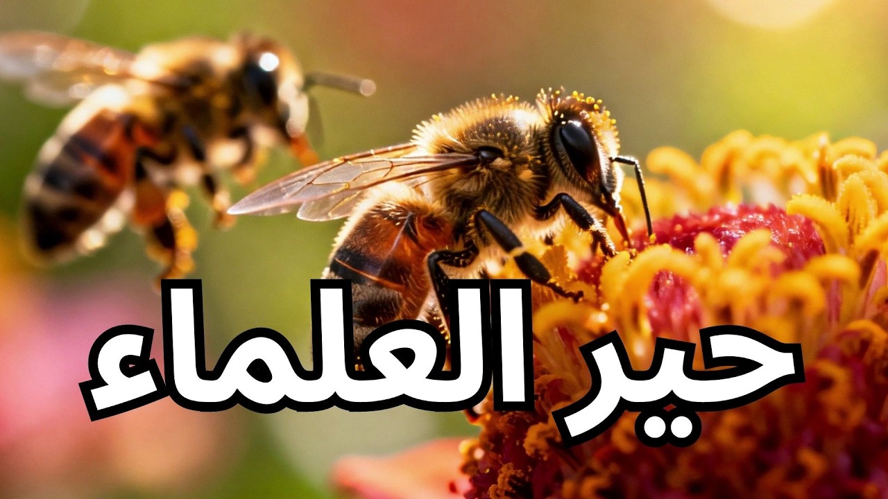 أذكى حشرة على كوكب الأرض.. لماذا يحترمها العلماء؟ 🐝