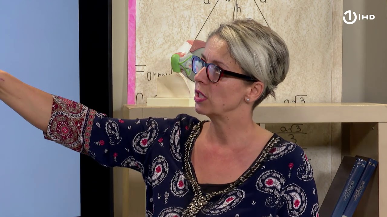 Domaća zadaća za 8. razred: Matematika - Kvadrat racionalnog broja