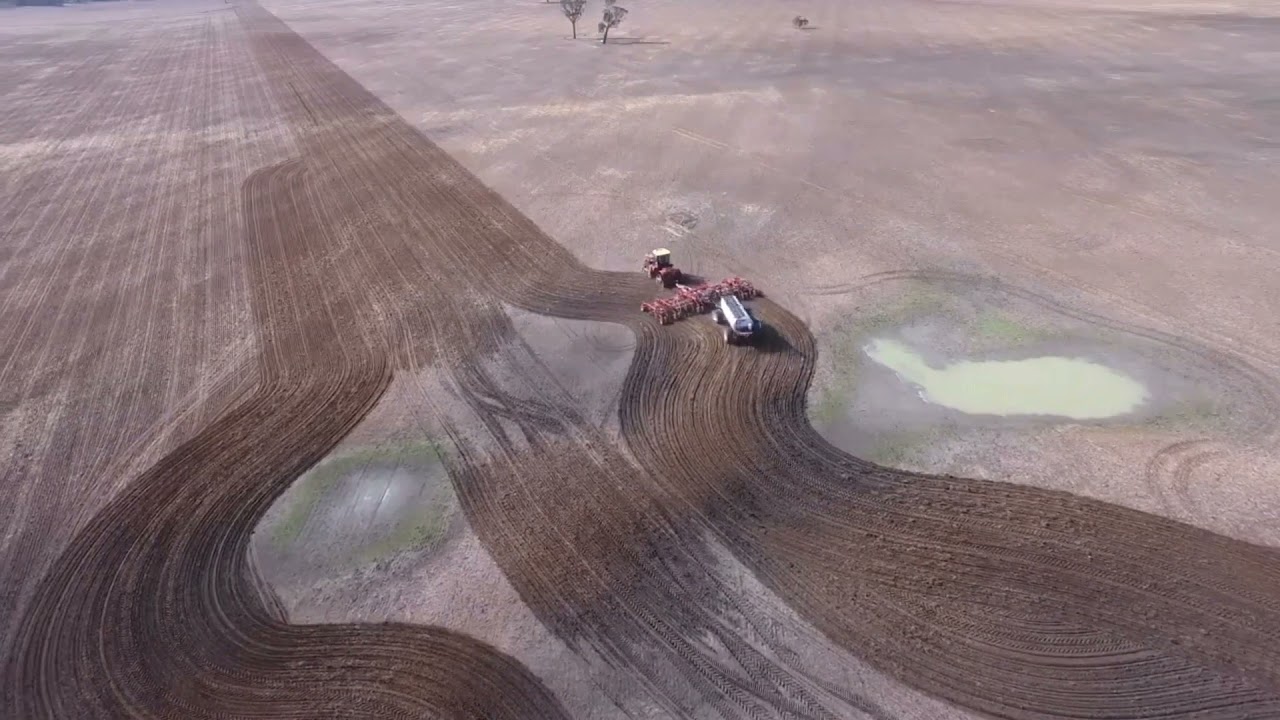 Seeding 2021 Australia