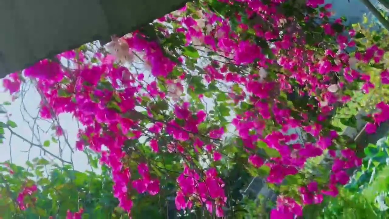 Nhà là nơi bình an 