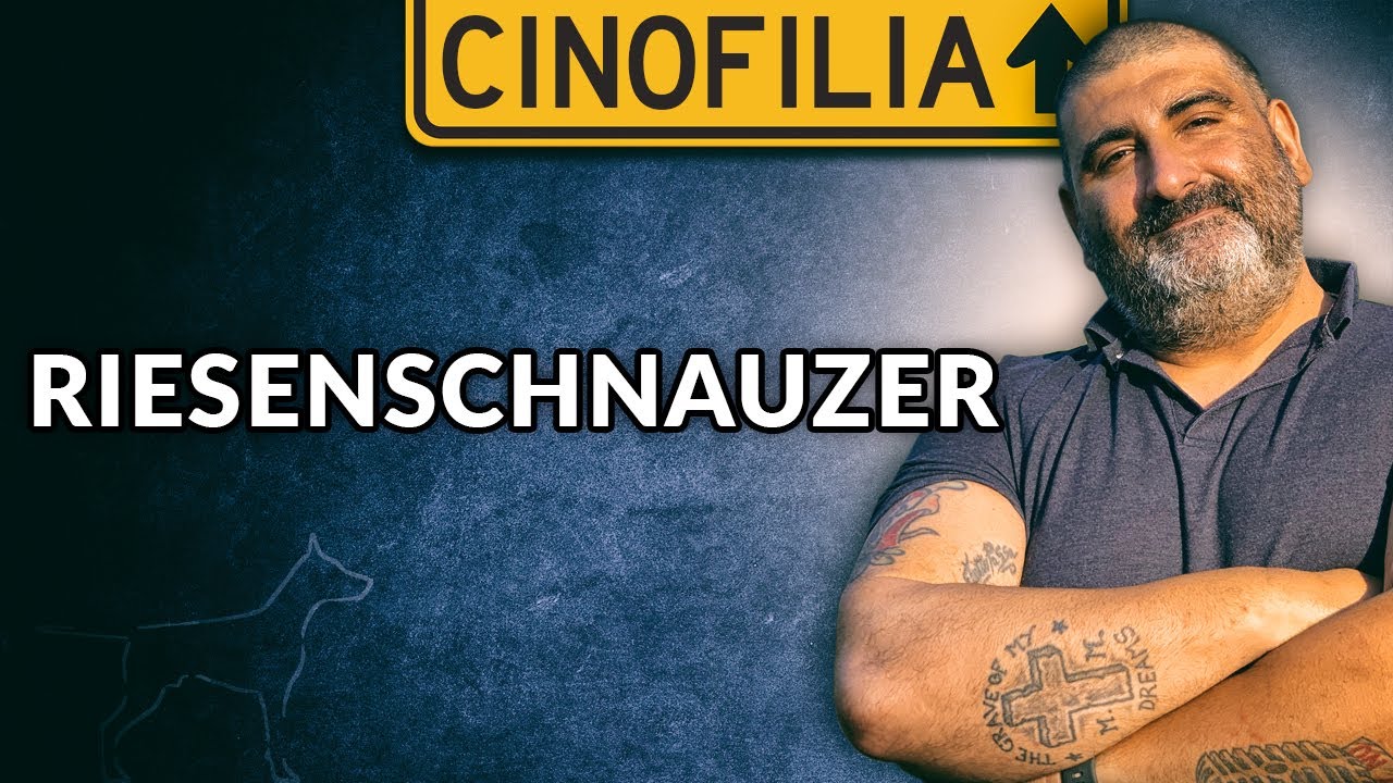 Riesenschnauzer