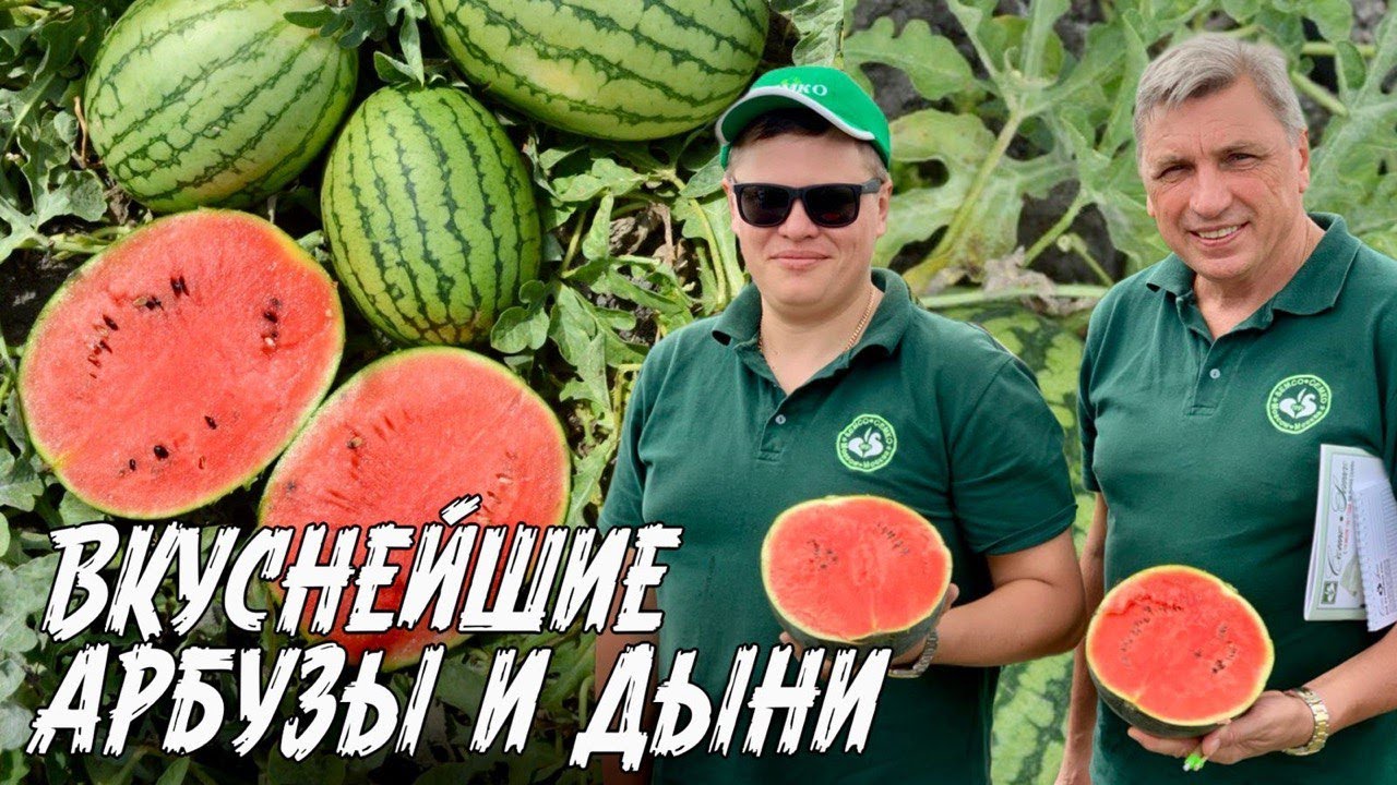 Сладкие порционные арбузы, вкусная ароматная зелень и нежные салаты. Семинар Семко. Финал. Часть 5