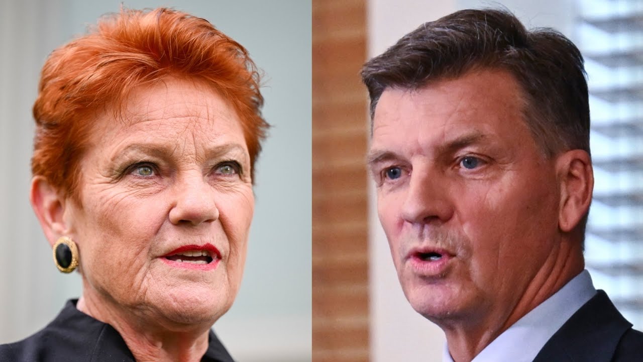Coalition and One Nation warned to target Labor not each other